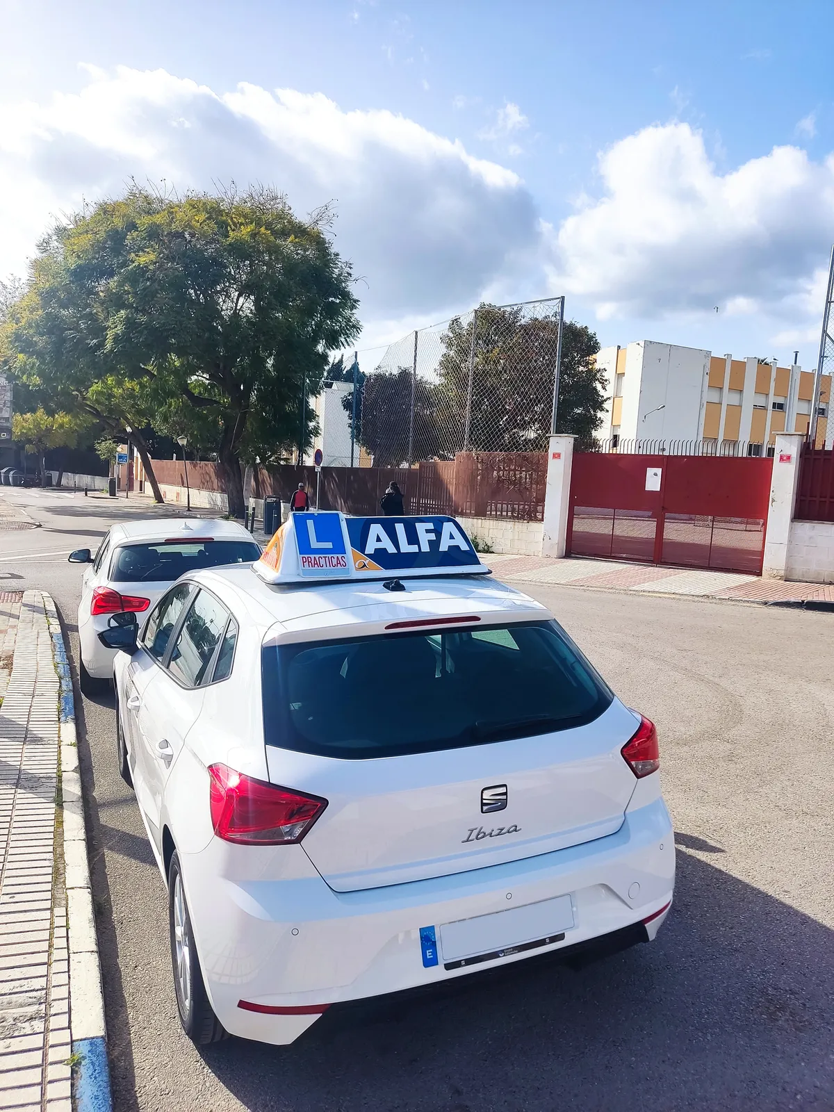Recogida coche de autoescuela en Guadalpín Marbella
